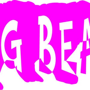 Big Bear Original Vinyl Sticker