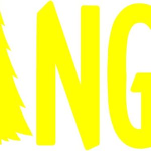 Big Bear The Hangover Vinyl Sticker