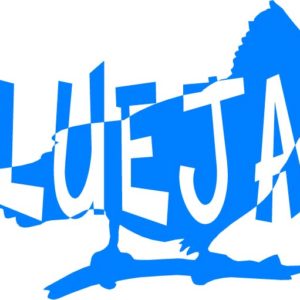Blue Jay Bird Vinyl Sticker