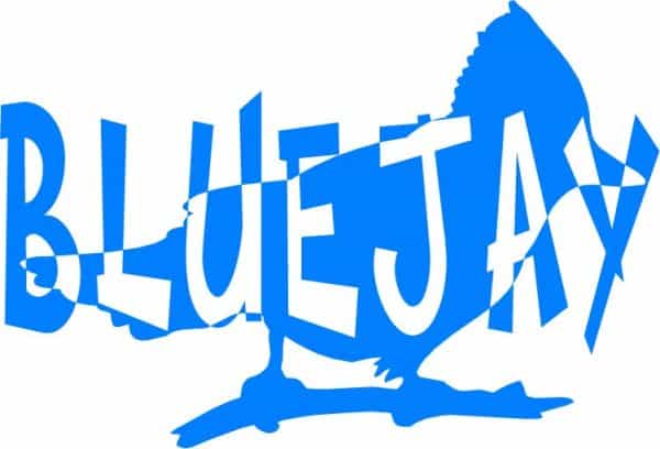 Blue Jay Bird Vinyl Sticker