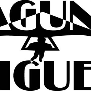 Laguna Niguel Beach Glider Vinyl Sticker