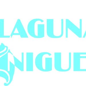 Laguna Niguel Beach Shells Vinyl Sticker